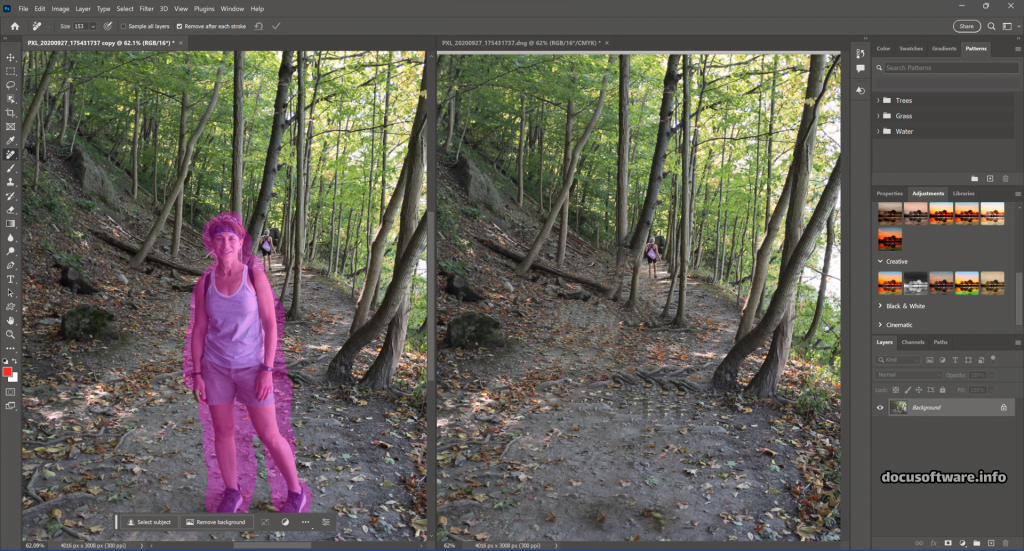 Adobe Photoshop 2025 Remove Tool
