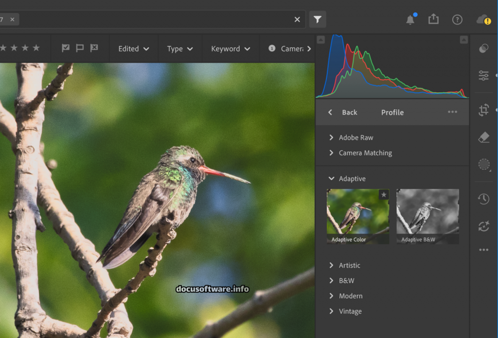 Adobe Lightroom 2025 RAW processing