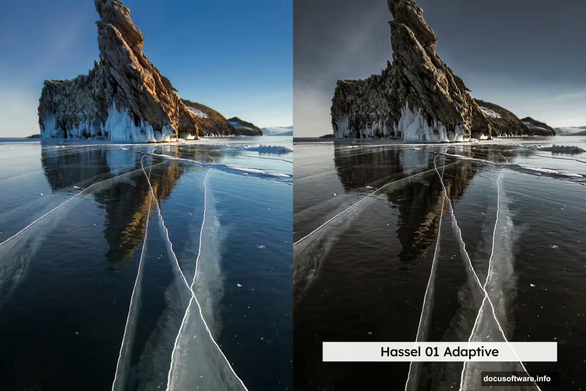 Pro version includes AI-powered presets with skin tone protection