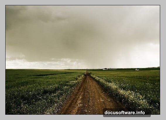 Free Transform tool stretches images to fill canvas completely