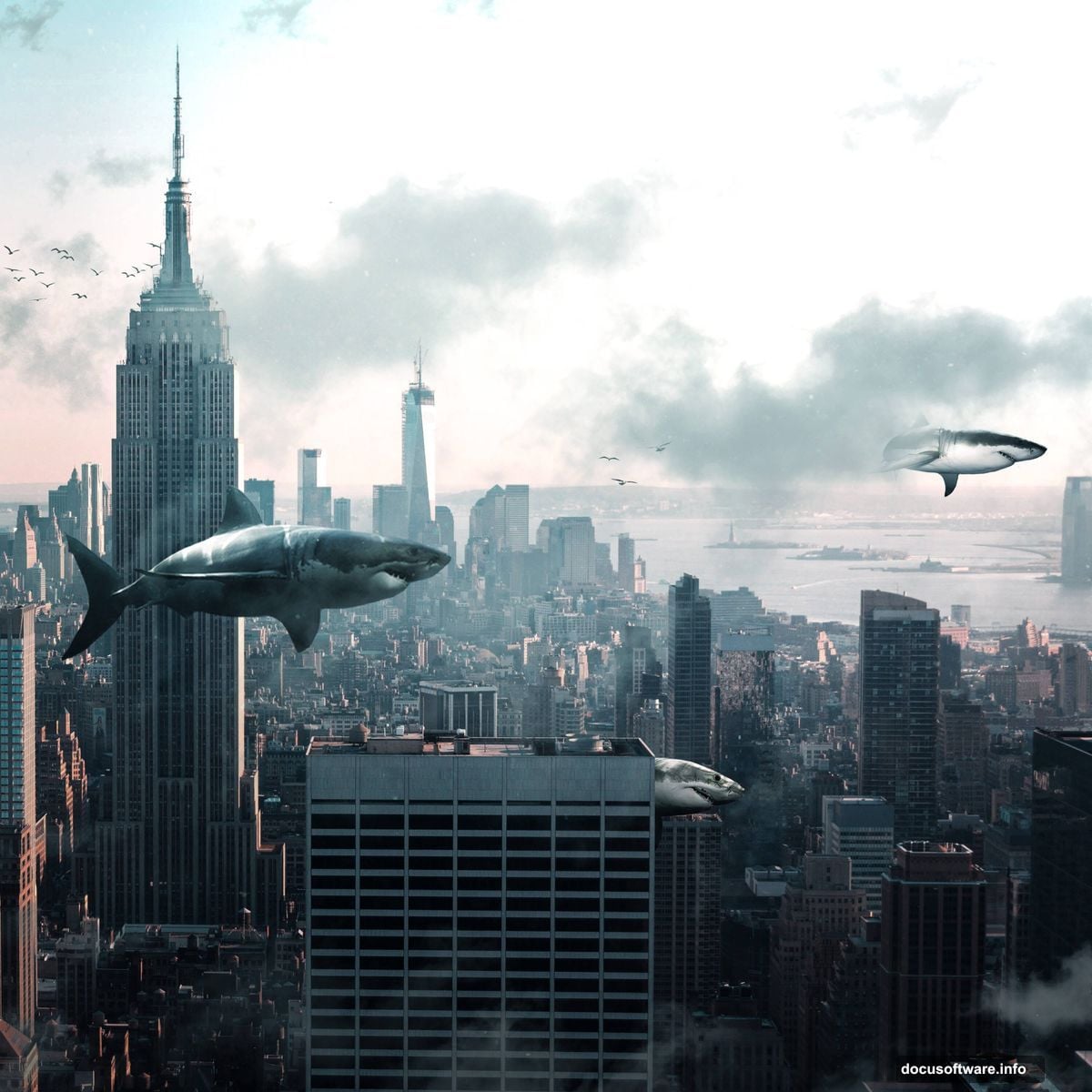 Gather high-resolution shark and city images from stock photo sites