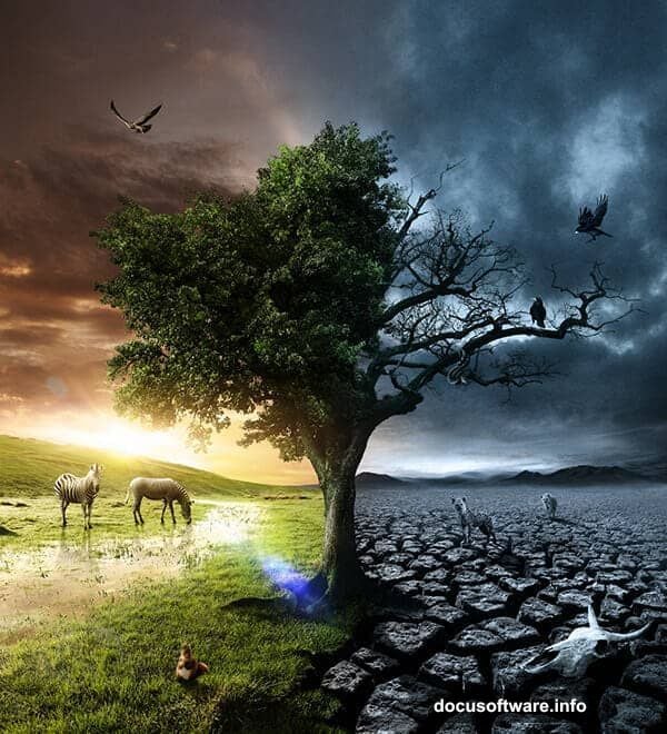 The transition from Brazil to Portugal added creative perspective