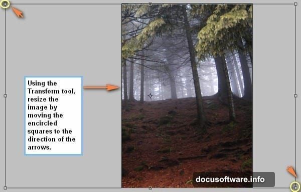 Free Transform maintains proper proportions using rule of thirds composition