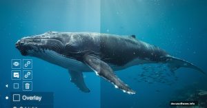 Whale underwater scene split showing Photoshop layers and final composite result