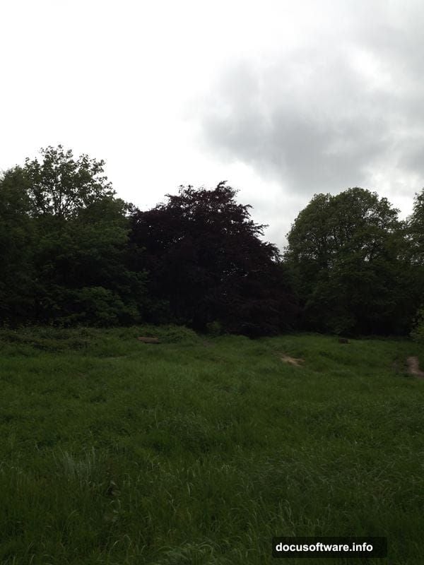 Soft brush masking with opacity control for seamless transitions