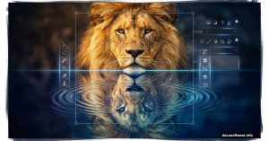 Lion portrait with mirror water reflection and Photoshop editing interface