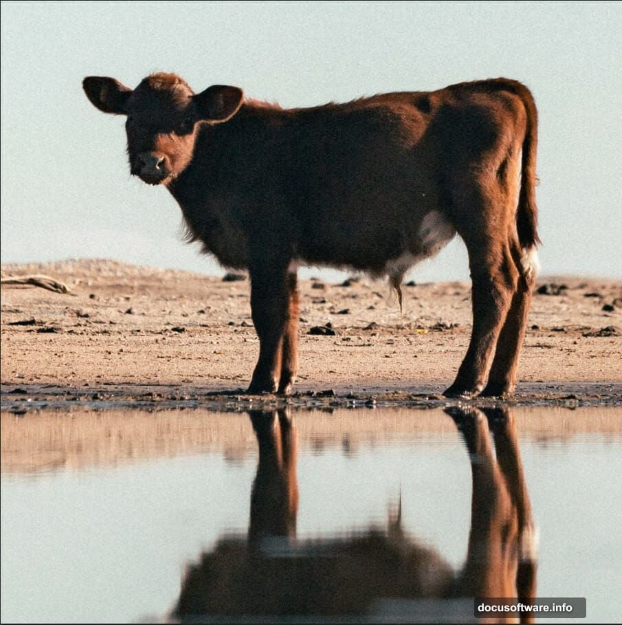 Layer organization and transform tool maintain proportions while scaling elements