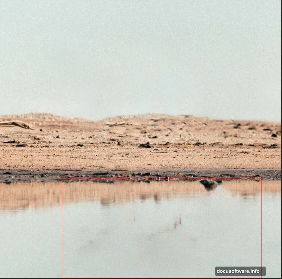 Rule of thirds composition places lion off-center for dynamic visual impact