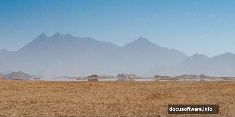 Dust and Scratches filter smooths out distracting details in background