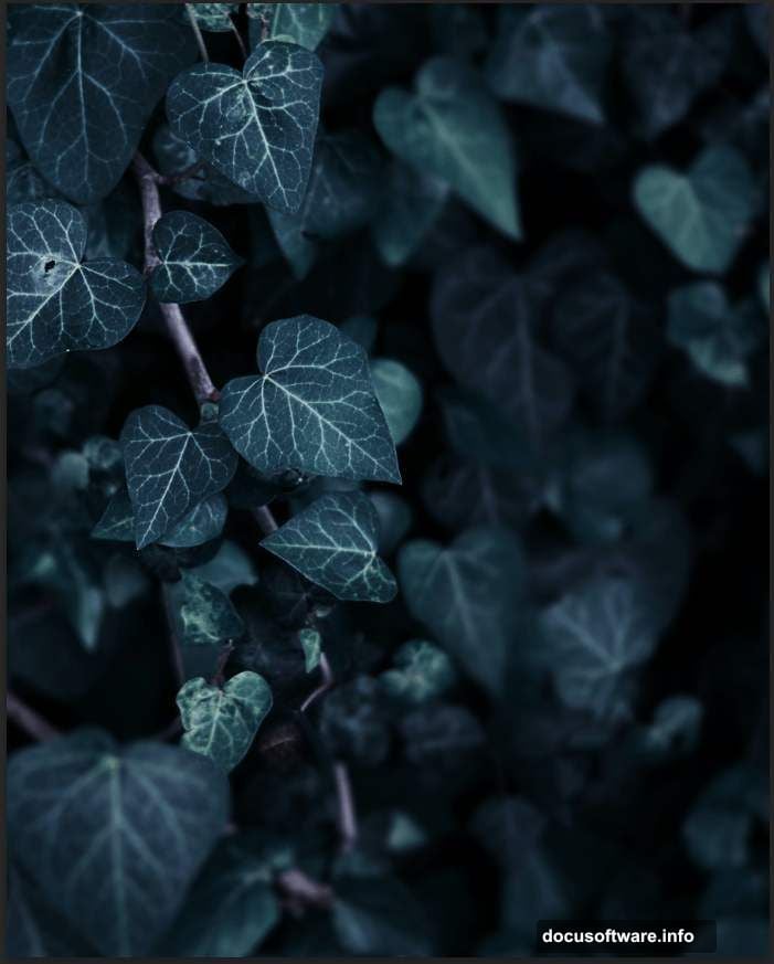 Quick Selection Tool creates clean edges around wolf fur