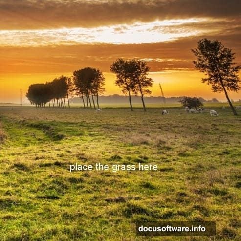 Paint over foreground grass to keep it brighter than background