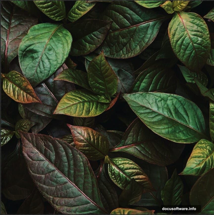 Color grading tiger with Color Lookup adjustment layer and opacity