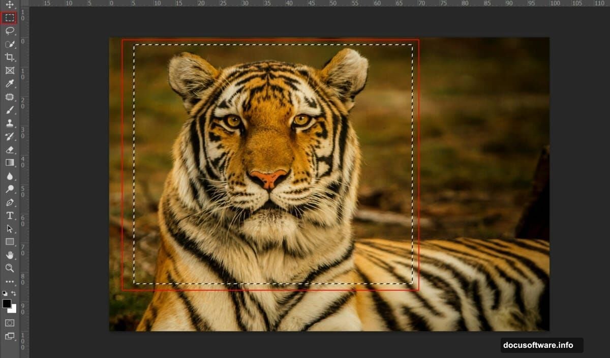 Transform and position tiger using Alt Shift technique and masks