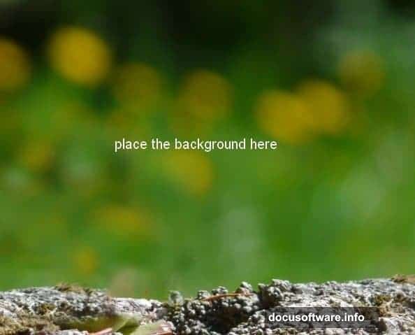 Remove unwanted plant using the Clone Stamp Tool by pressing S