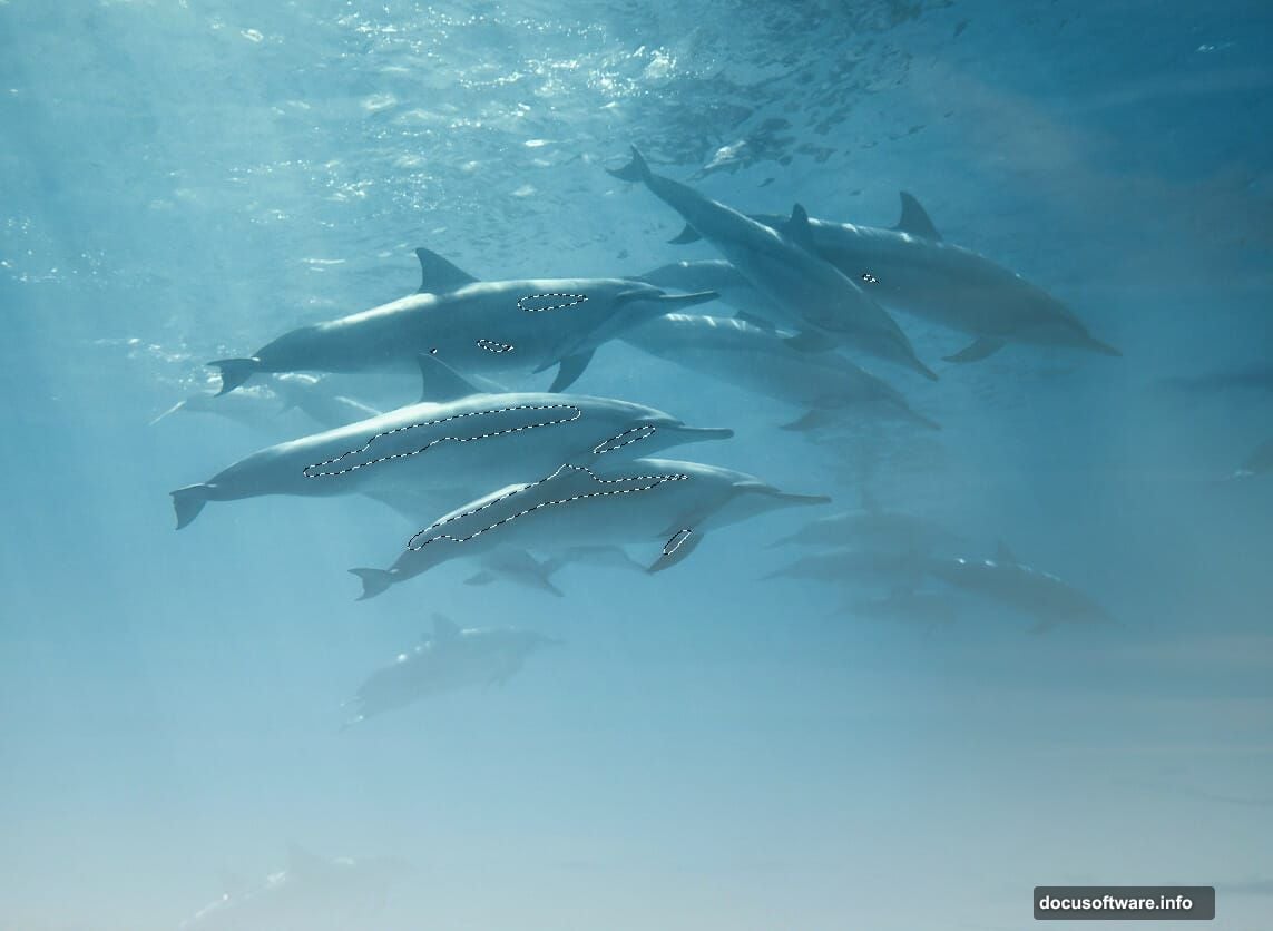 Gather dramatic sky, dolphin photos, and light ray brushes first