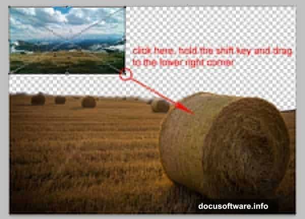 Free Transform activated with Ctrl+T to resize and position elements