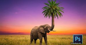 Elephant trunk transforming into palm tree surreal Photoshop manipulation