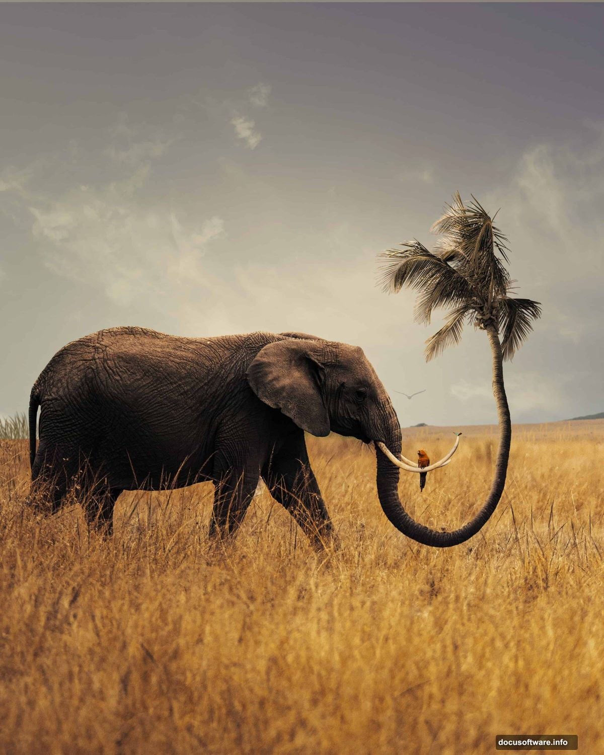 Transforming an elephant's trunk into a living palm tree