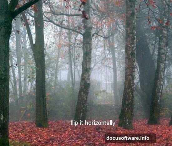 Layer mask with soft black brush blending ground into forest background