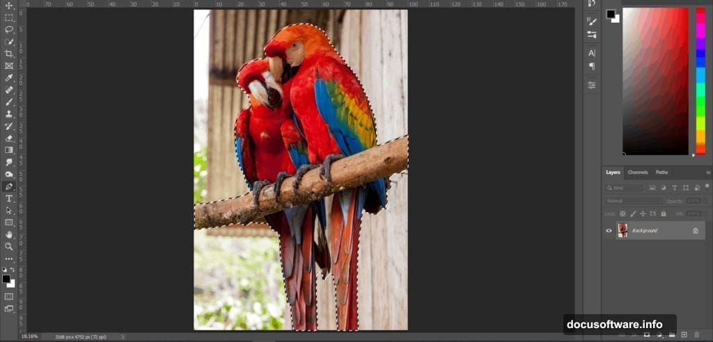 Five ivy layers stacked with Gaussian Blur creating depth in scene