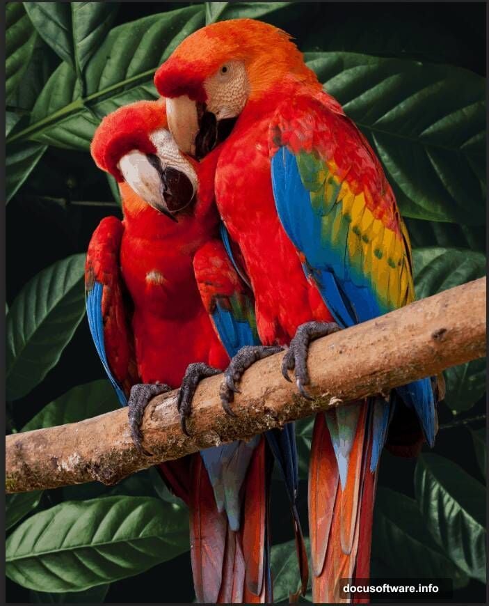 Camera Raw filter applies cohesive color finish to completed parrot composite