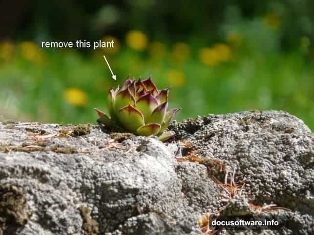 Color Balance and Curves adjustment layers create atmospheric fantasy palette