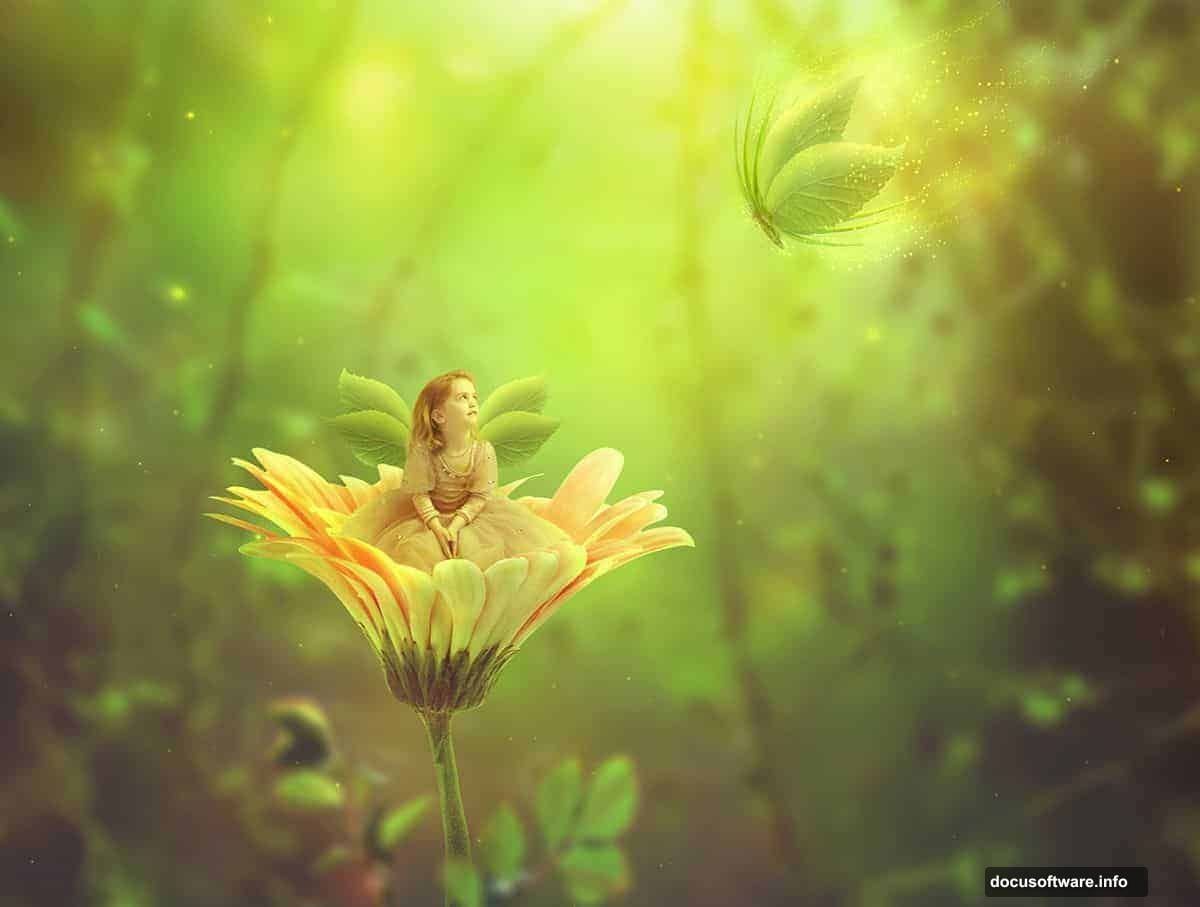 Setting up Photoshop canvas with white background and stock image