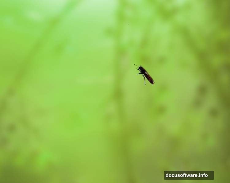 Hue/Saturation adjustment layer as Clipping Mask shifts background color