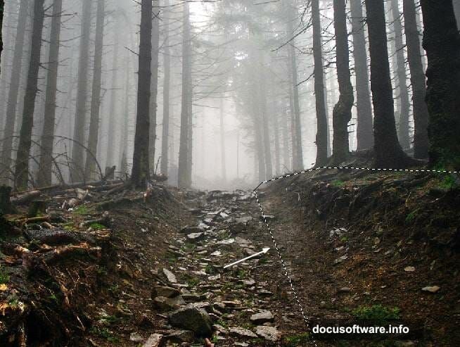 Polygonal Lasso Tool creates symmetrical tunnel-like forest path compositing