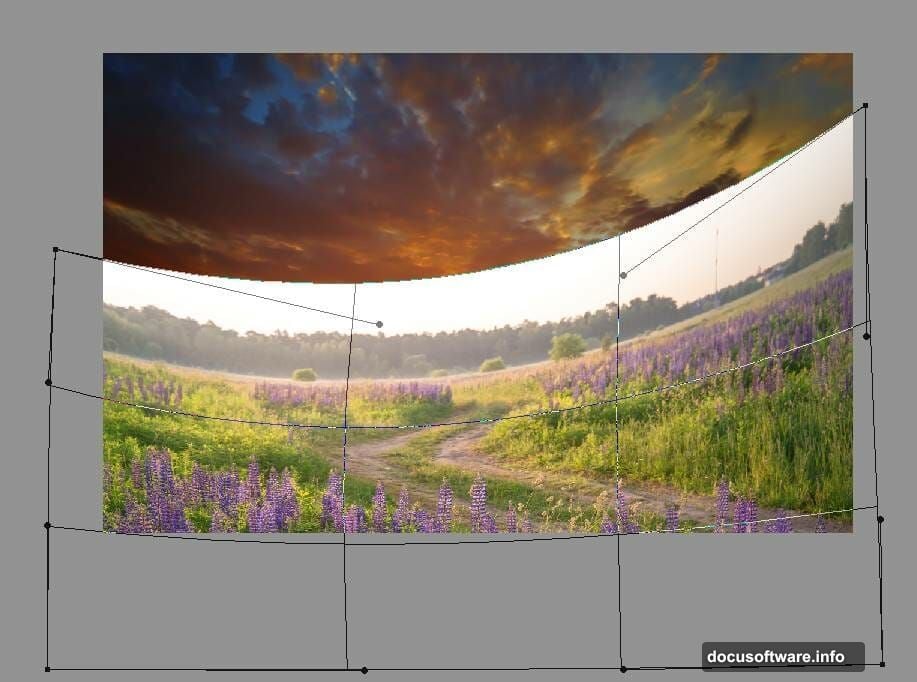 Layer mask with black brush removes sky and bushes from field image