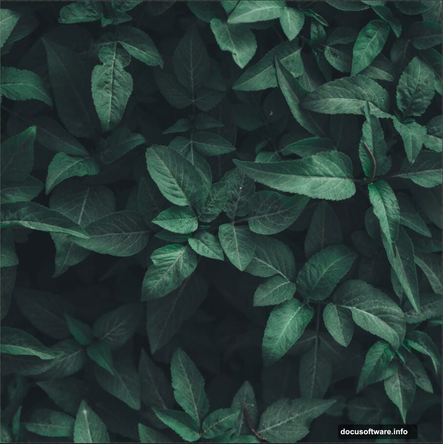 Color Balance and Curves adjustment layers adding contrast and depth