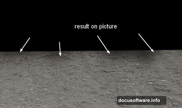 Heart-shaped form built from tangled branches and scattering leaves