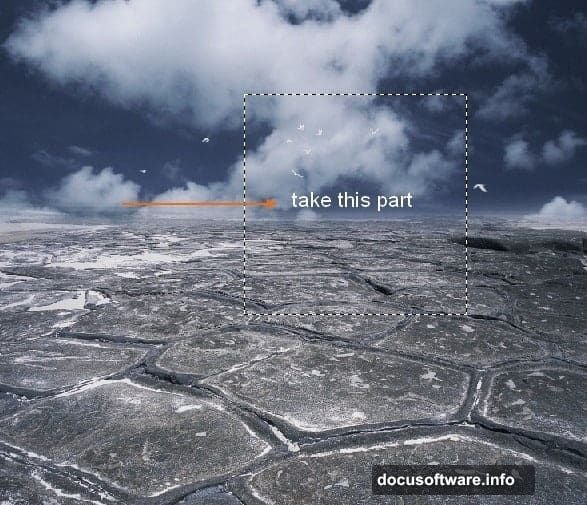 Clone Stamp Tool removes distracting birds using Sample All Layers