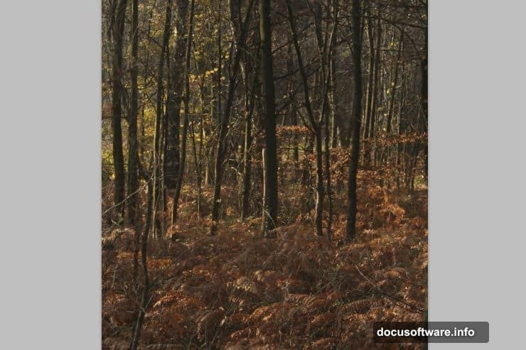 Smart Filter mask with soft brush creates genuine depth in center ground