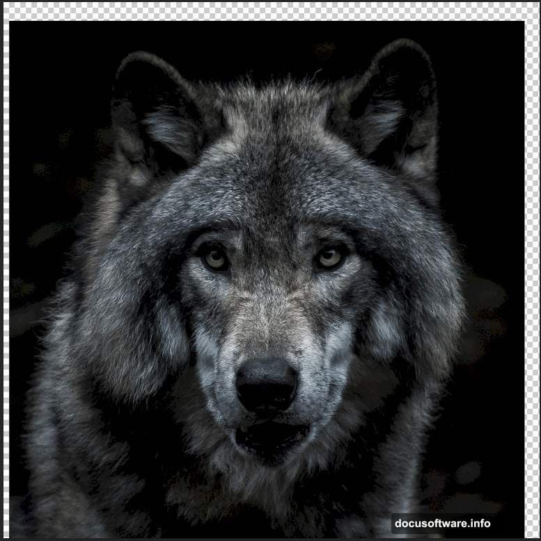 Brush Tool with Color Dodge blend mode creates glowing wolf eyes