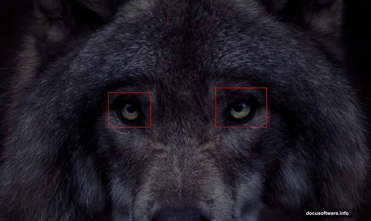 Transform tool resizes and positions wolf lower on the canvas proportionally